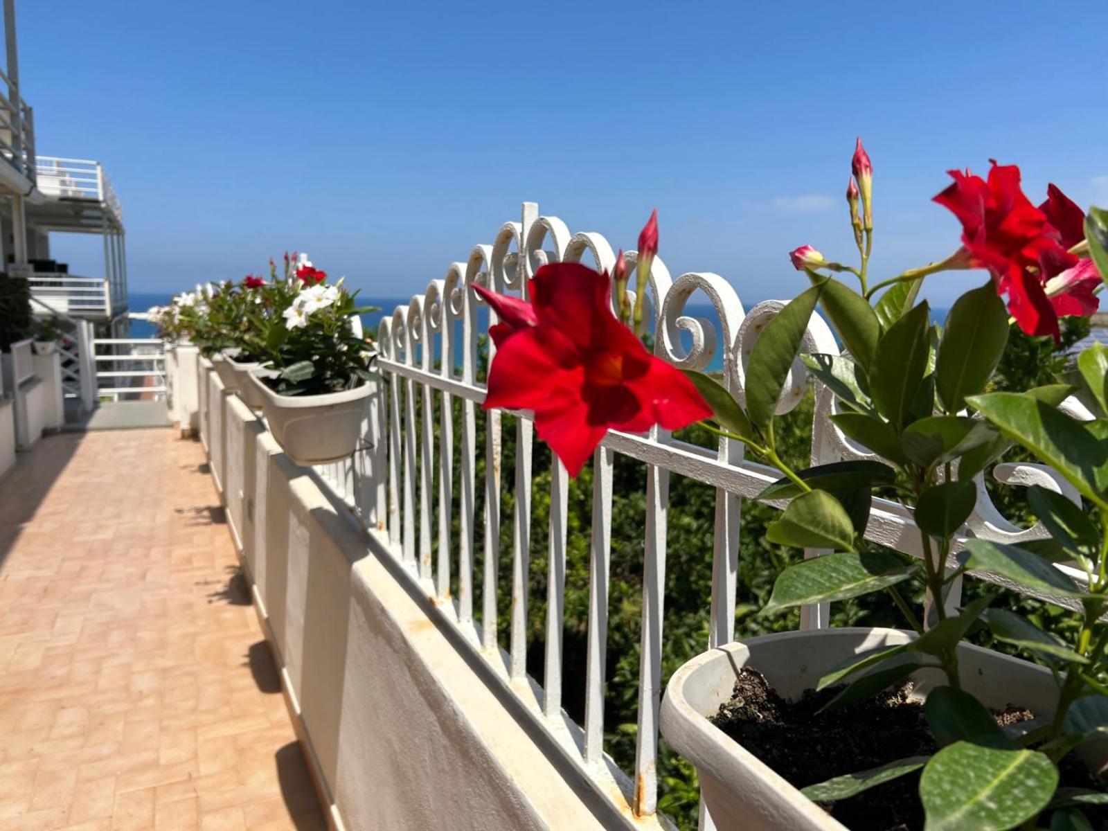 Mediterranean Boutique Hotel Тропея Экстерьер фото